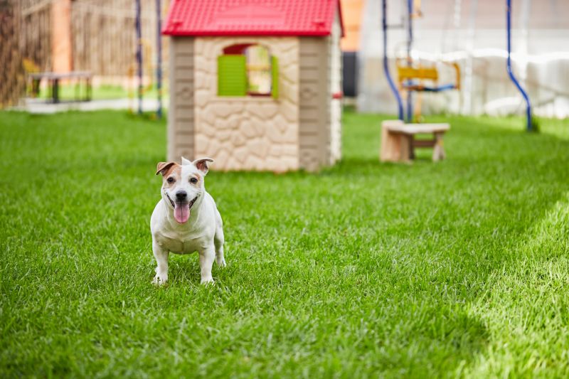 Spacious Catio Design